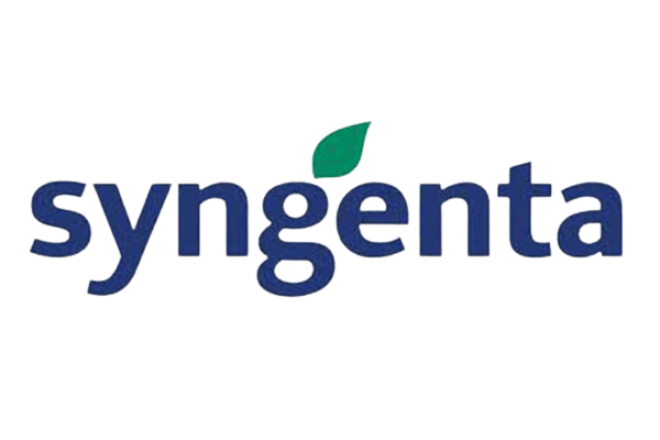 6._Athena-removebg-preview